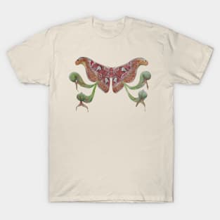 Attacus atlas Moth and Darlingtonia californica T-Shirt